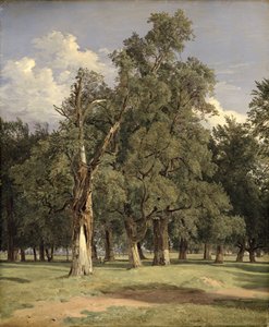 Elm Trees in Prater